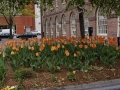 Walking around Providence, RI